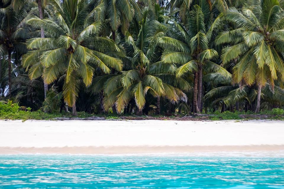 Mentawai Ebay Playground Surfcamp Masokut Exterior foto